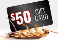 $50 E-Gift Card