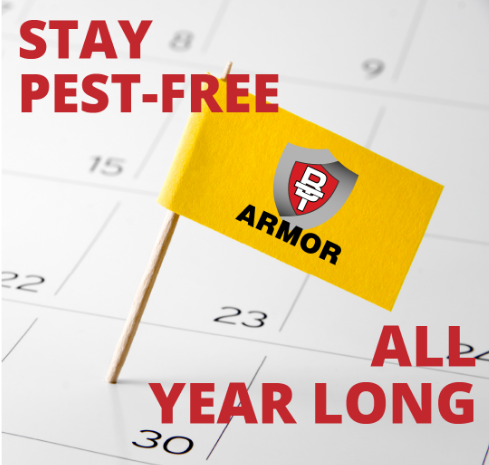 Stay pest free all year long graphic
