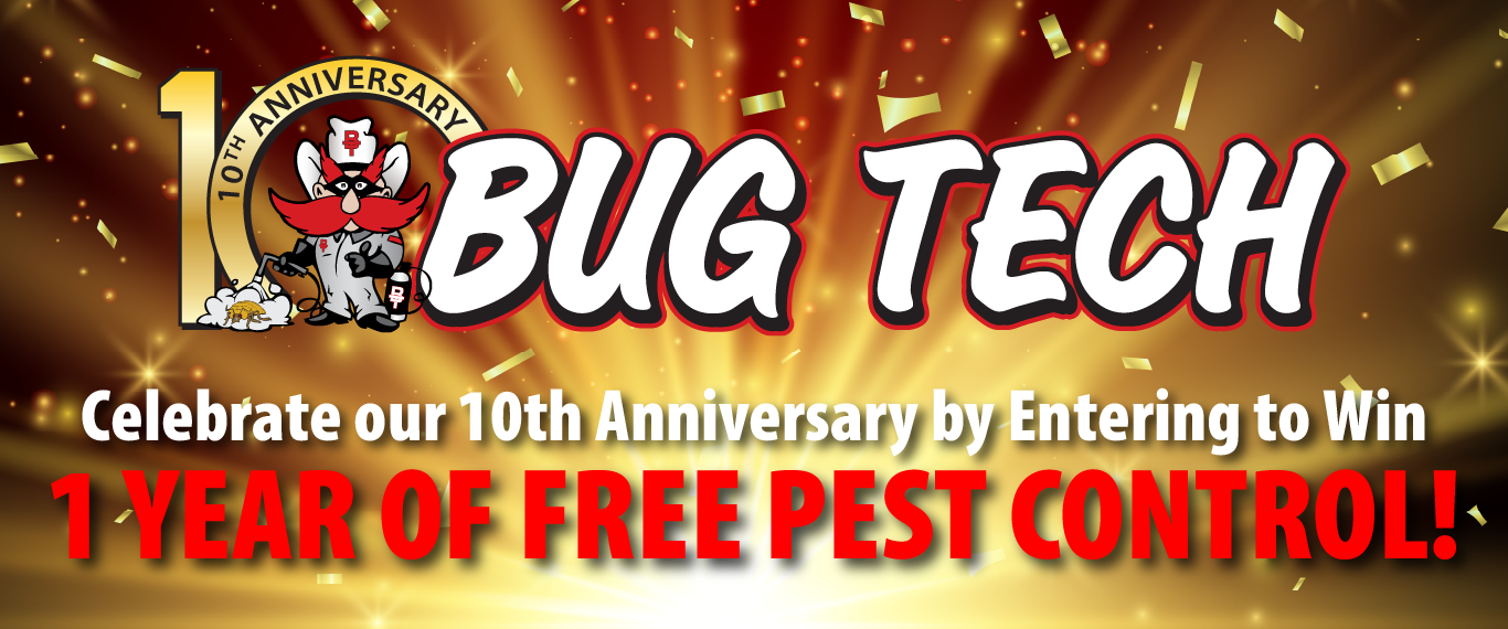 Bug Tech 10th Anniversary Promotion Header Image