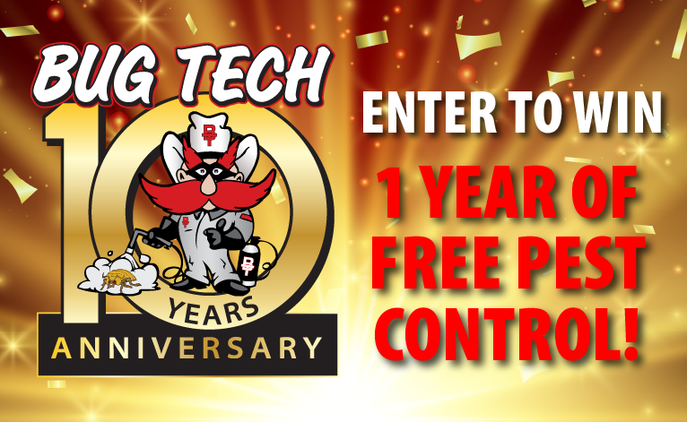 Bed Bug Exterminator Lubbock