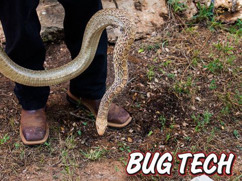 technician with snake