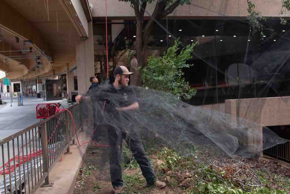 technician with bird net