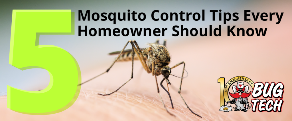 5 Mosquito Control Tips graphic