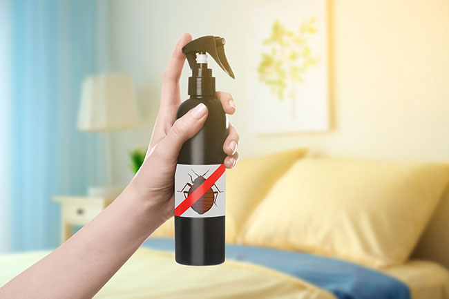 bed bug spray