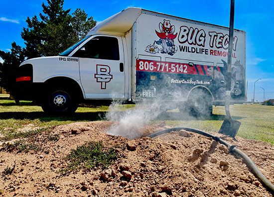 Prairie Dog Removal