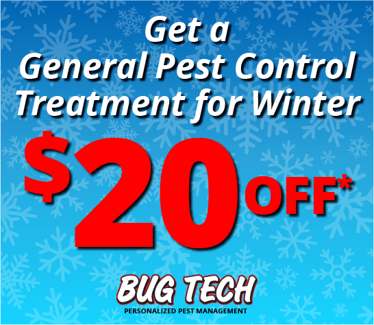 Get a General Pest Control treatment for winter $20 off